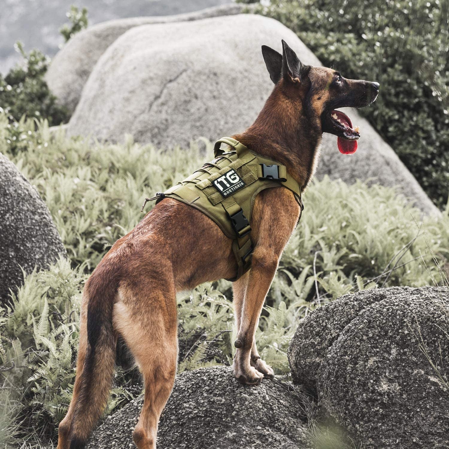 Tactical Dog Harness 